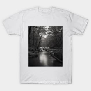 River in the middle of forest T-Shirt